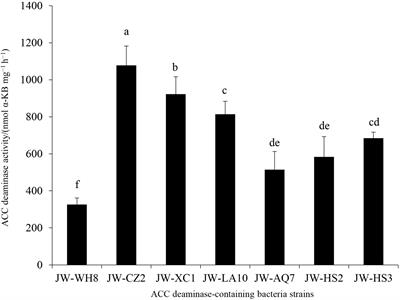 Isolation, Characterization, and Tea Growth-Promoting Analysis of JW-CZ2, a Bacterium With 1-Aminocyclopropane-1-Carboxylic Acid Deaminase Activity Isolated From the Rhizosphere Soils of Tea Plants